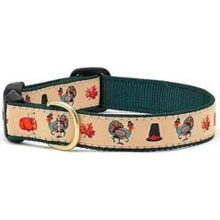 Up Country Turkey Trot Dog Collar (Large)