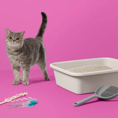 Up & Up Lightweight Scented Clumping Cat Litter - 7.5lbs - Up&up™ 1 Up & Up Lightweight Scented Clumping Cat Litter - 7.5lbs - Up&up™