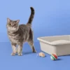 Up & Up Fragrance Free With Baking Soda Clumping Cat Litter - Up&up™