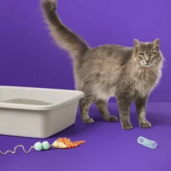 Up & Up Scented Clumping Cat Litter Bag - Up&up™