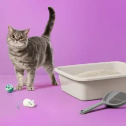 Up & Up Lightweight Unscented Fragrance Free With Baking Soda Clumping Cat Litter - 7.5lbs - Up&up™