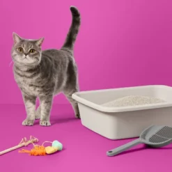 Up & Up Lightweight Scented Clumping Cat Litter - 13.5lbs - Up&up™