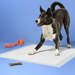 Up & Up Dog Training Pads - XL - Up&up™