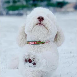 Up Country Christmas Naughty And Nice Dog Collar