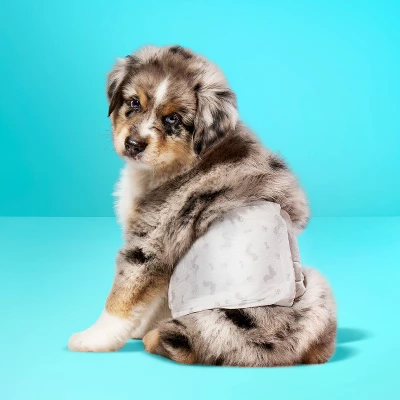 Up & Up Male Wrap Dog Diapers - 24ct - Up&up™ 1 Up & Up Male Wrap Dog Diapers - 24ct - Up&up™