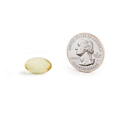 Up & Up Shop 24 Up & Up Shop -Up & Up Shop GUEST 4763c0ae a189 4634 ae90 3ac2211f7a74